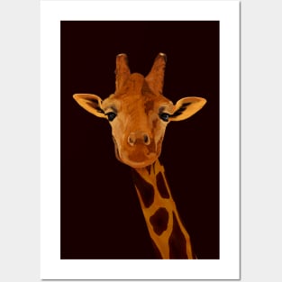 Giraffe Posters and Art